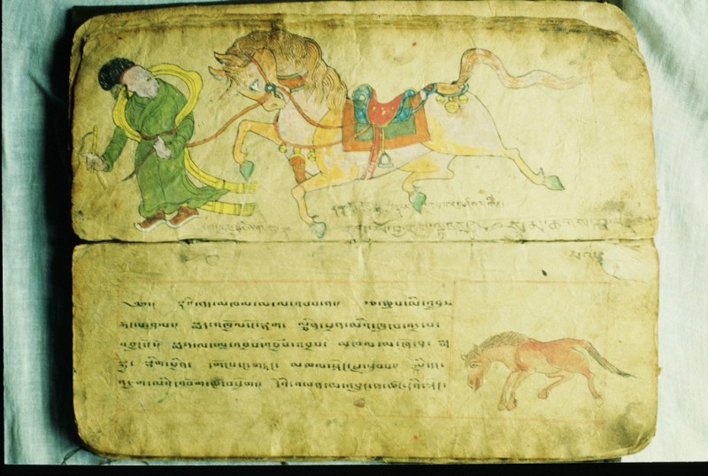 Handschrift zur Pferdeheilkunde. Untere Seite: Behandlung von Nierenkrankheiten